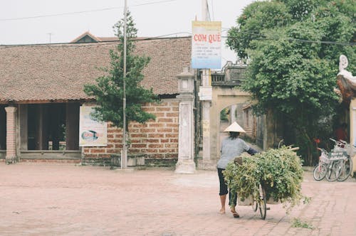 Ilmainen kuvapankkikuva tunnisteilla arkkitehtuuri, Hanoi, katu