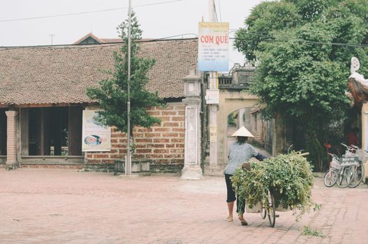 An authentic view of daily life in a Vietnamese village with architecture and foliage.