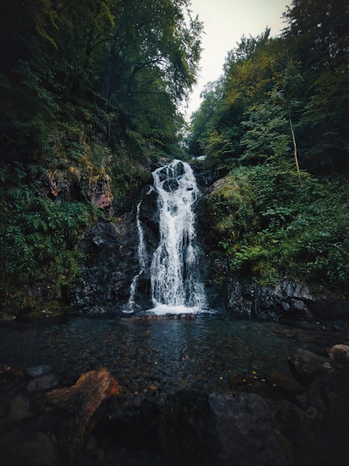 Бесплатное стоковое фото с вертикальный выстрел, водопады, деревья