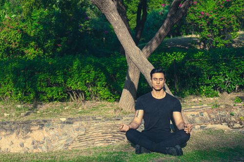 Free Man meditating peacefully in a lush Jaipur garden, embracing wellness and relaxation. Stock Photo