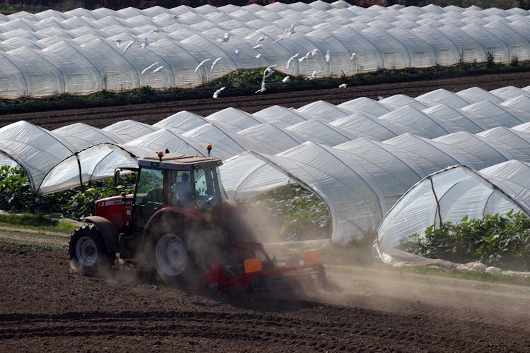 Farmer Working In The Field 