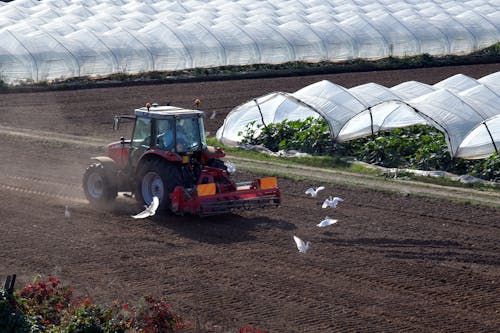 Tractor harrowing Soil in a Plantation Land 