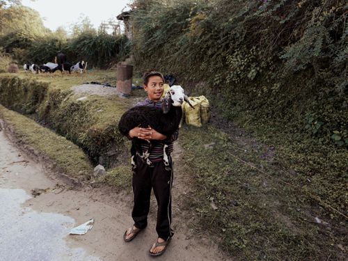 Free Young boy holds a domestic goat on a countryside path with livestock nearby. Stock Photo