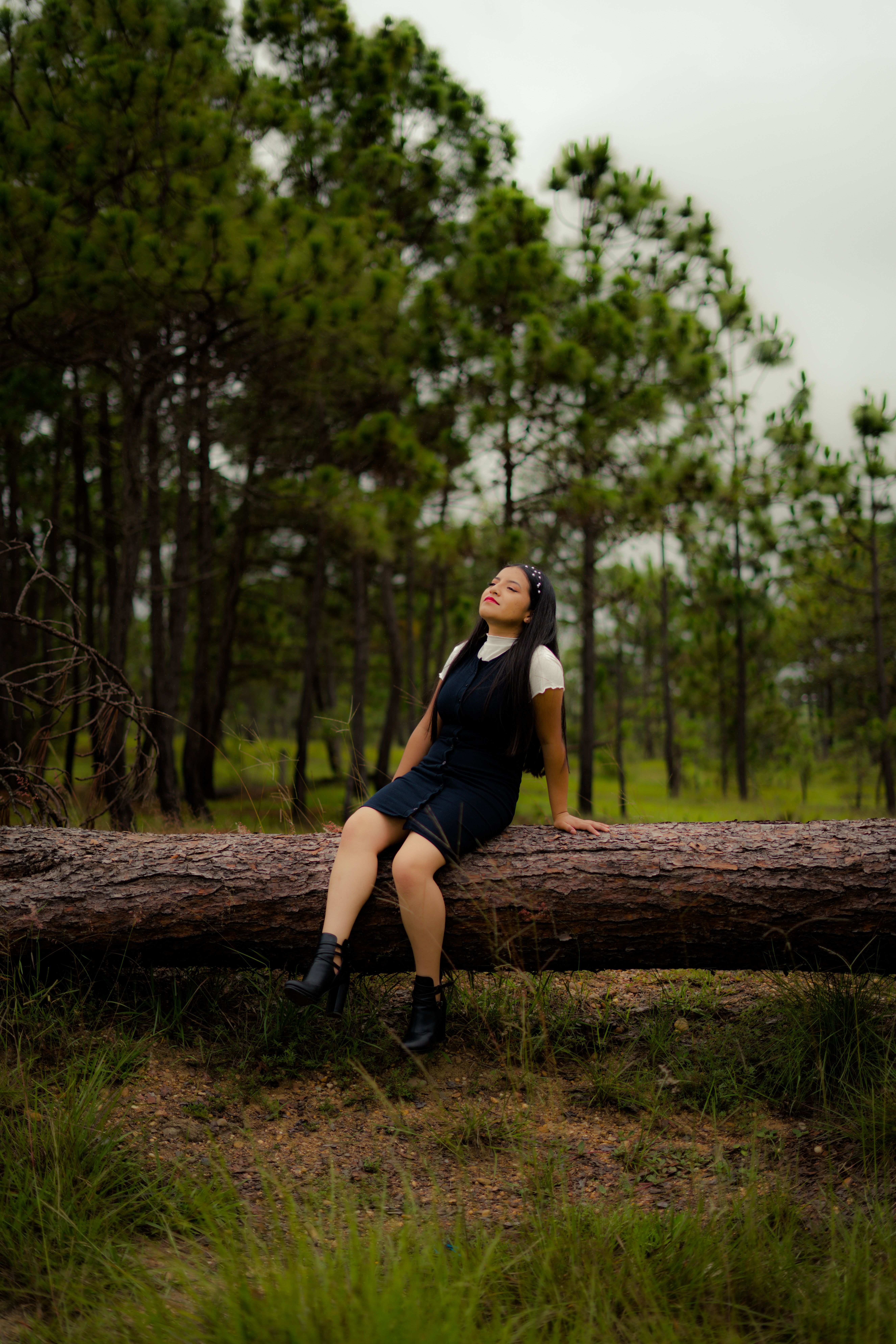 Woman in Short Dress Sitting on a Tree Trunk · Free Stock Photo