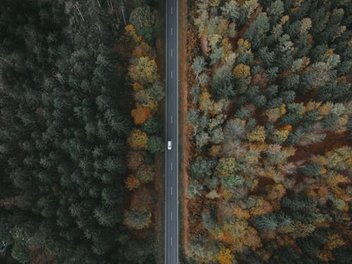 Gratis stockfoto met asfaltweg, boszicht, dronefoto