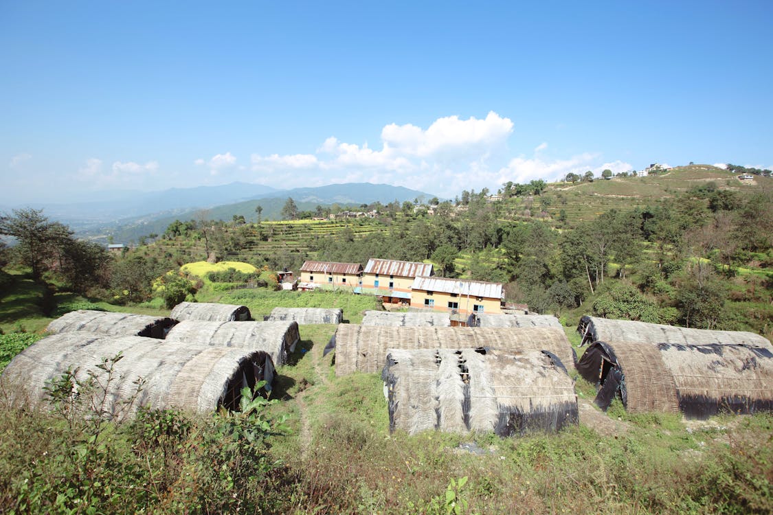 Foto d'estoc gratuïta de agricultura, camps de cultiu, cel blau