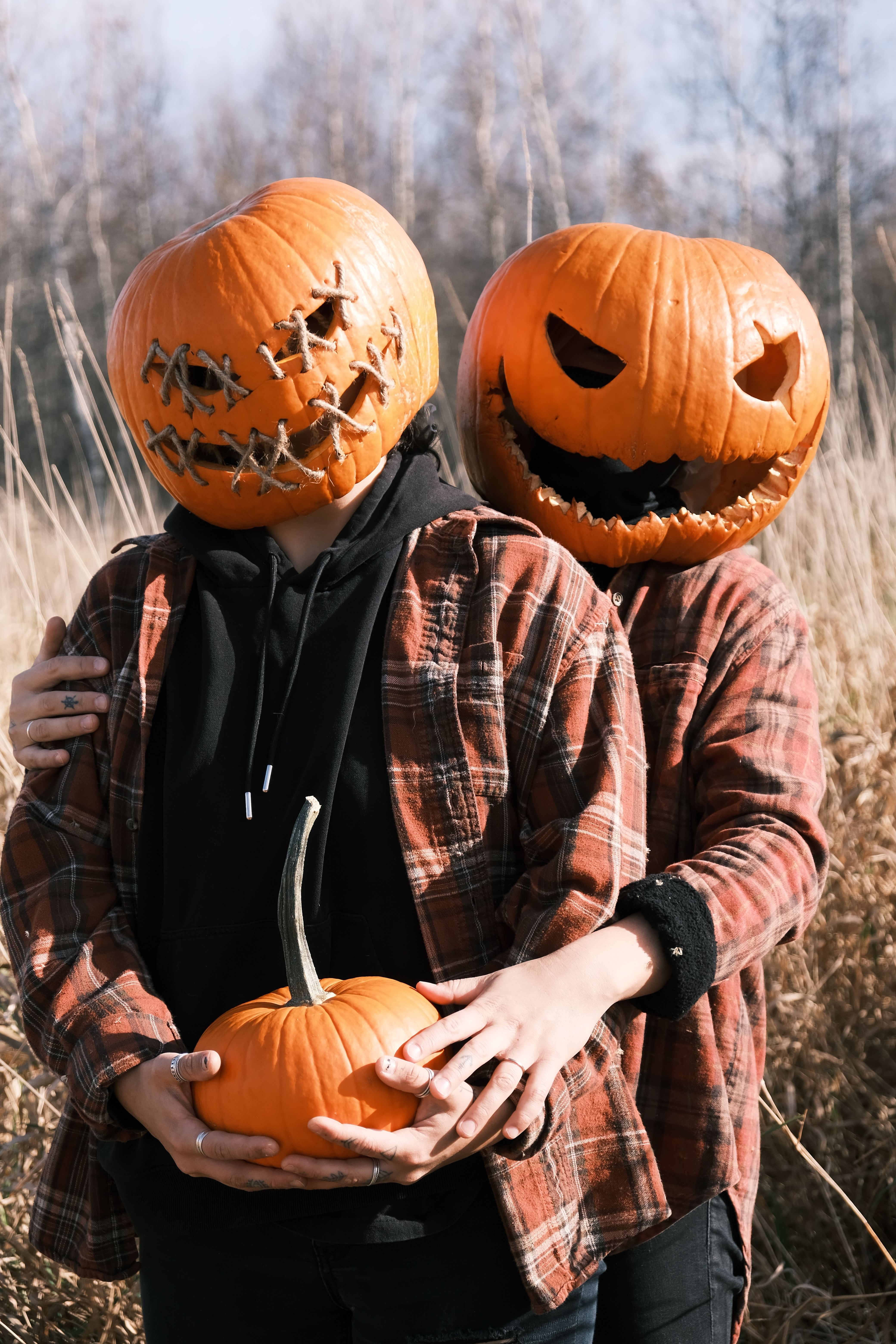 pexels-photo-14225918.jpeg