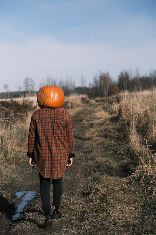 Back View of Person Wearing Pumpkin Mask