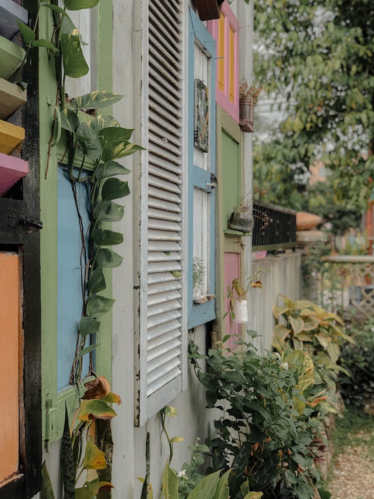 House Facade, Plants In Yard