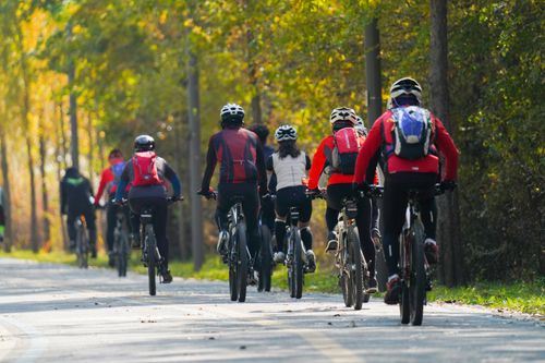 Free A group of cyclists navigate a scenic forest trail on a sunny day, showcasing outdoor adventure. Stock Photo