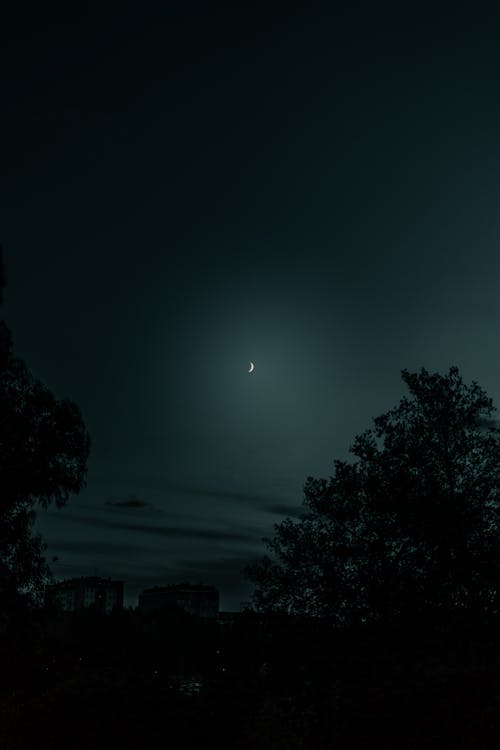 夜, 月, 月面の無料の写真素材
