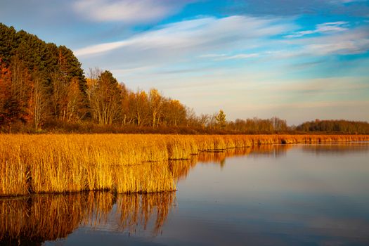 Ontario Puts $2.1M Into Ottawa Valley Forest Projects
