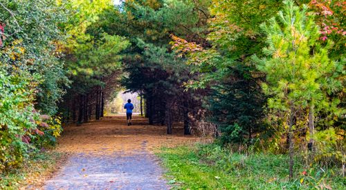 Free On The Run Stock Photo