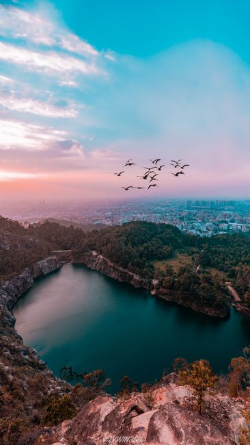 Stunning aerial photo capturing birds flying over a lake with cityscape and sunrise in the background.