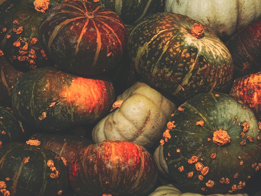 Close-up Photo of winter squash