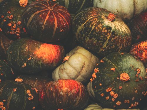 Free Detailed close-up of various colorful pumpkins, perfect for autumn themes. Stock Photo