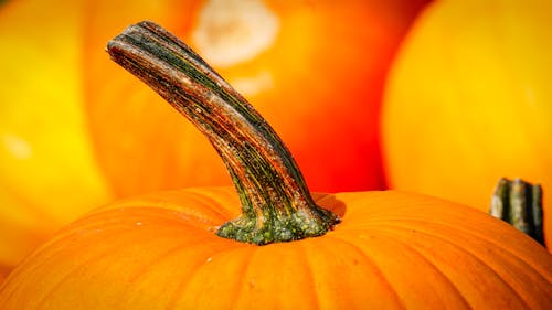 Photographie En Gros Plan De Citrouille