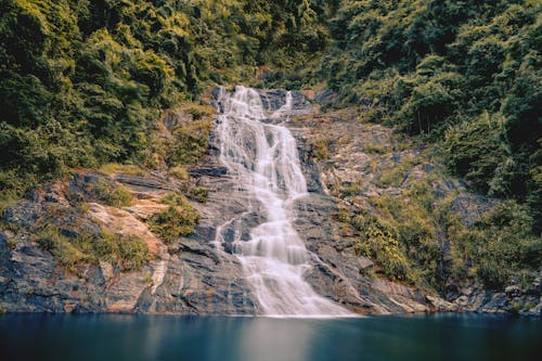 Waterfalls in Forest