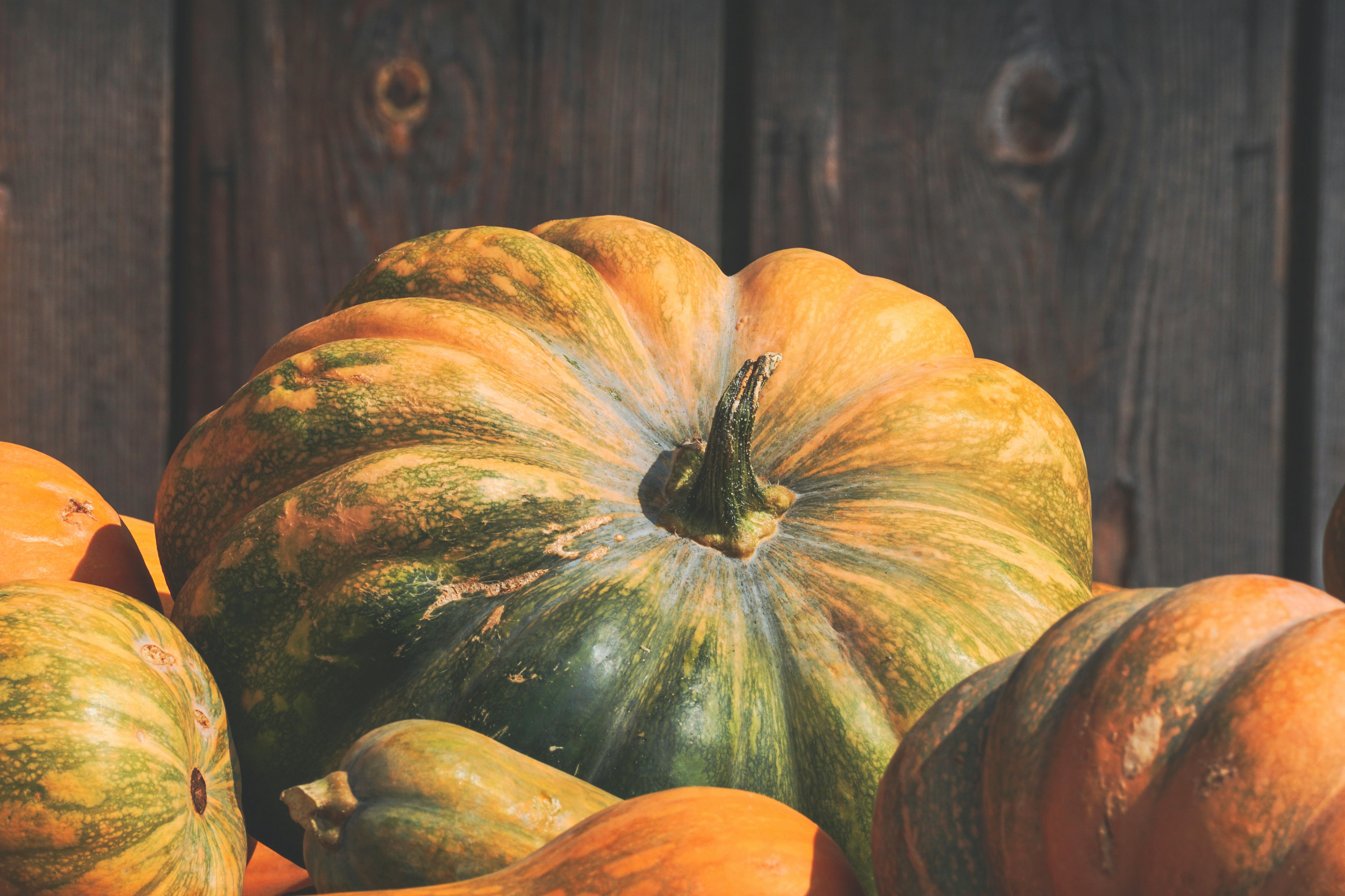 Closeup Photo of Orange and Green Squash · Free Stock Photo