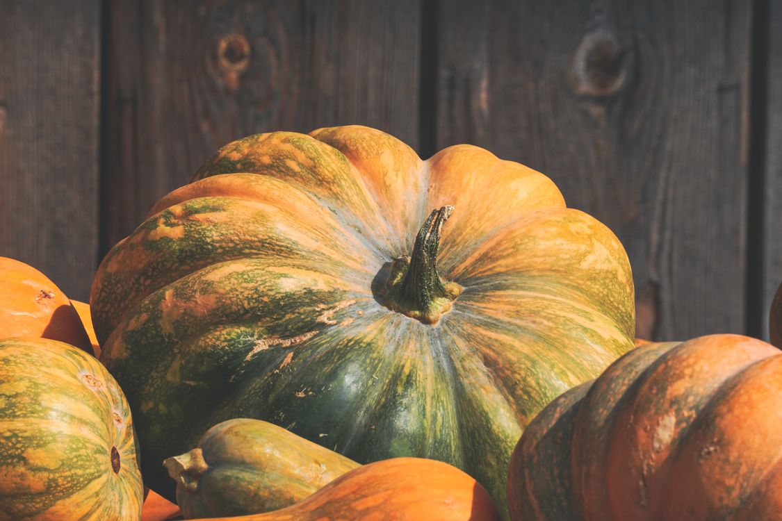 Close-up Photo of Orange and Green Squash · Free Stock Photo