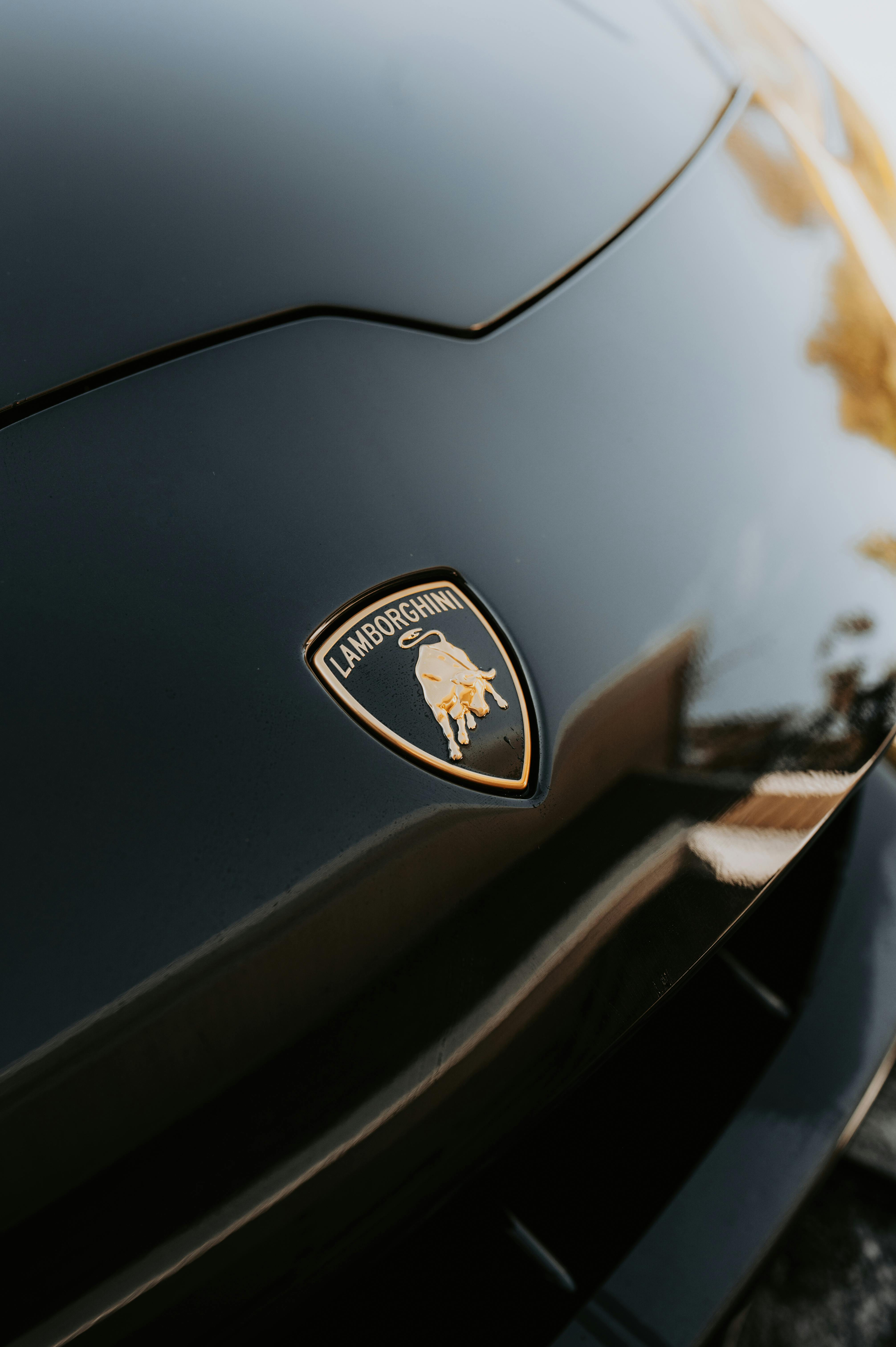 Close-up of the Emblem of a Lamborghini Car · Free Stock Photo