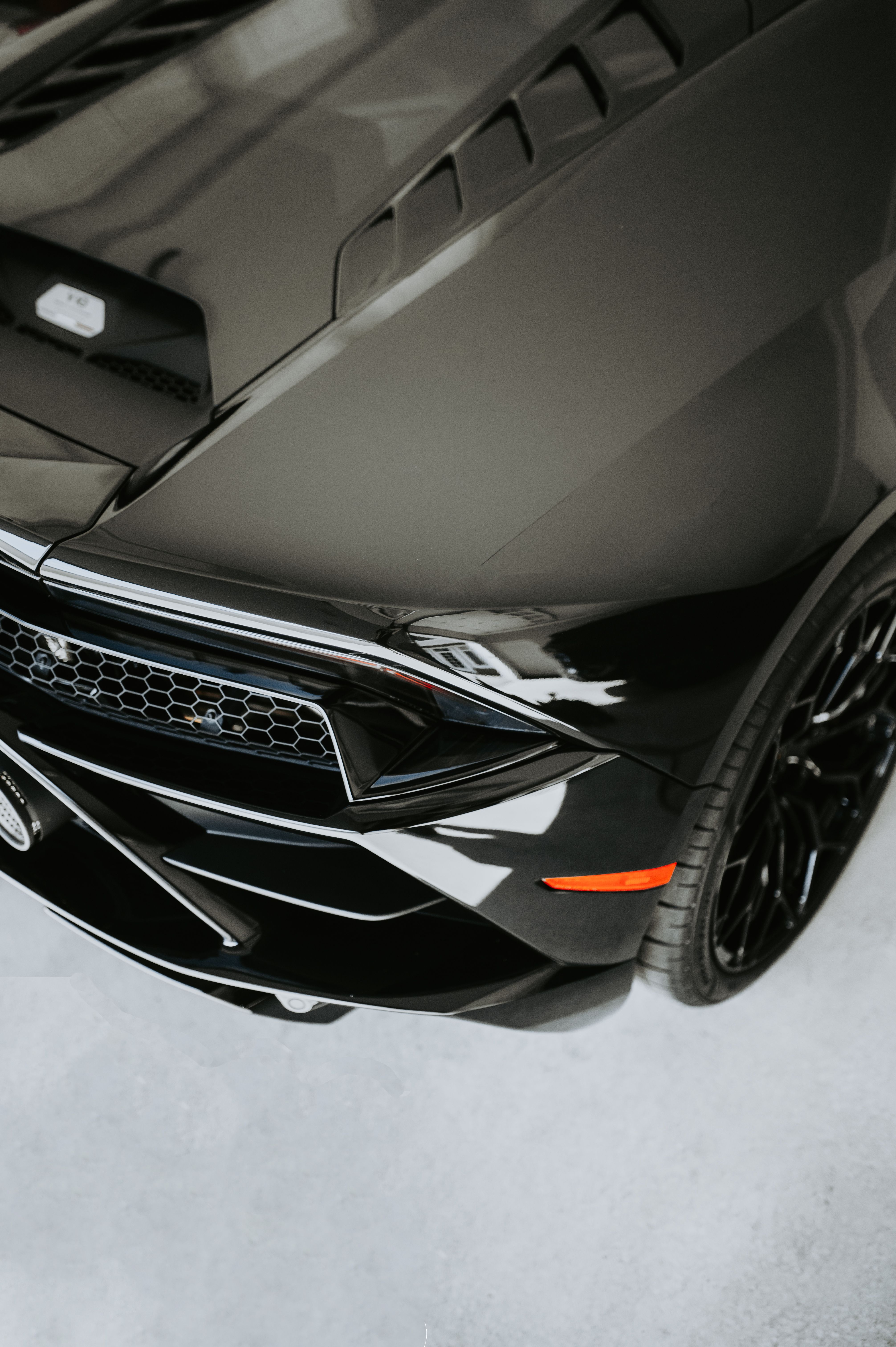 Bumper detail