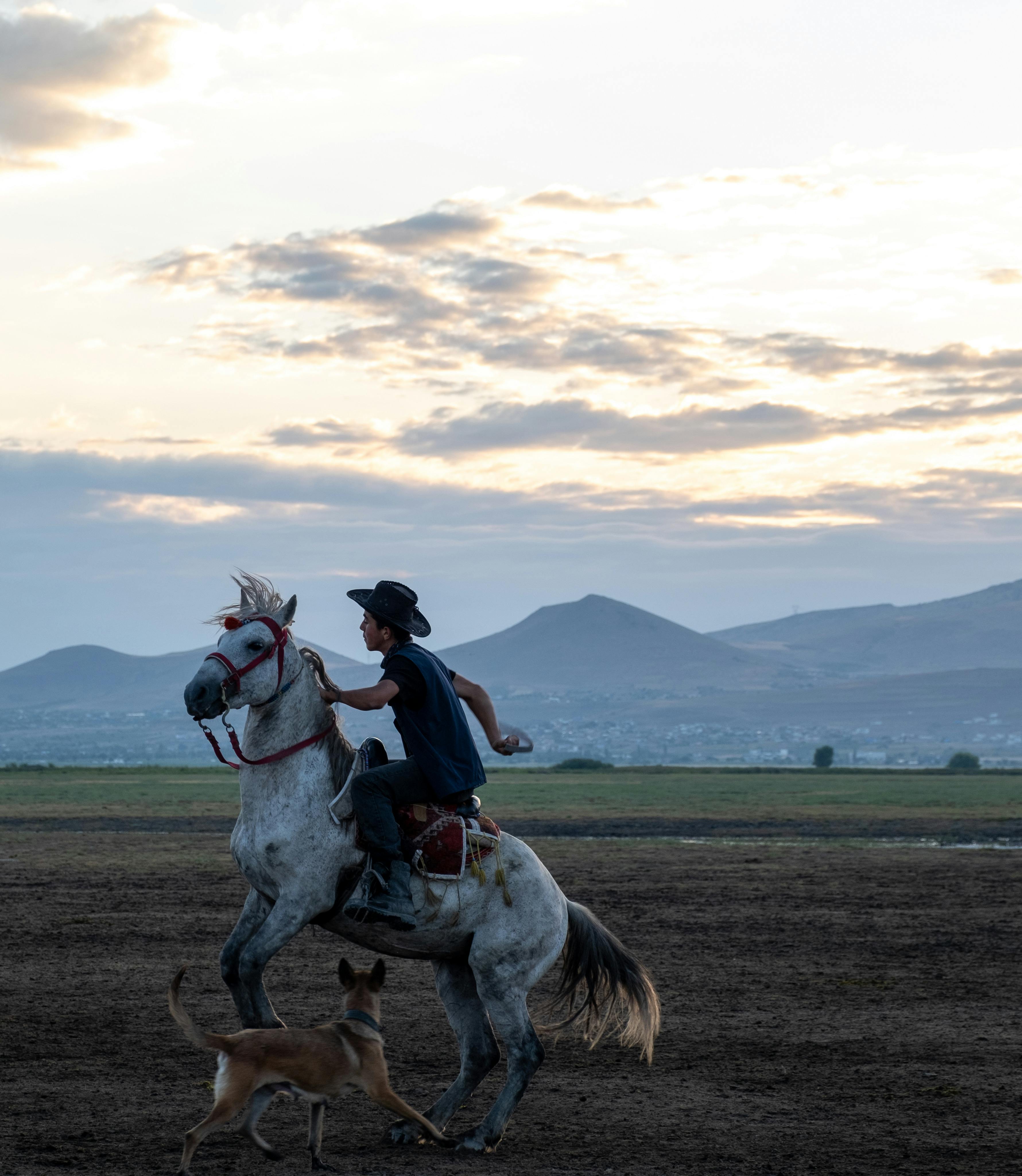 How to Measure for a Horse Riding Helmet A StepbyStep Guide