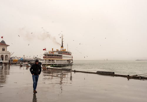 Foto d'estoc gratuïta de constipat, davant del mar, ferri