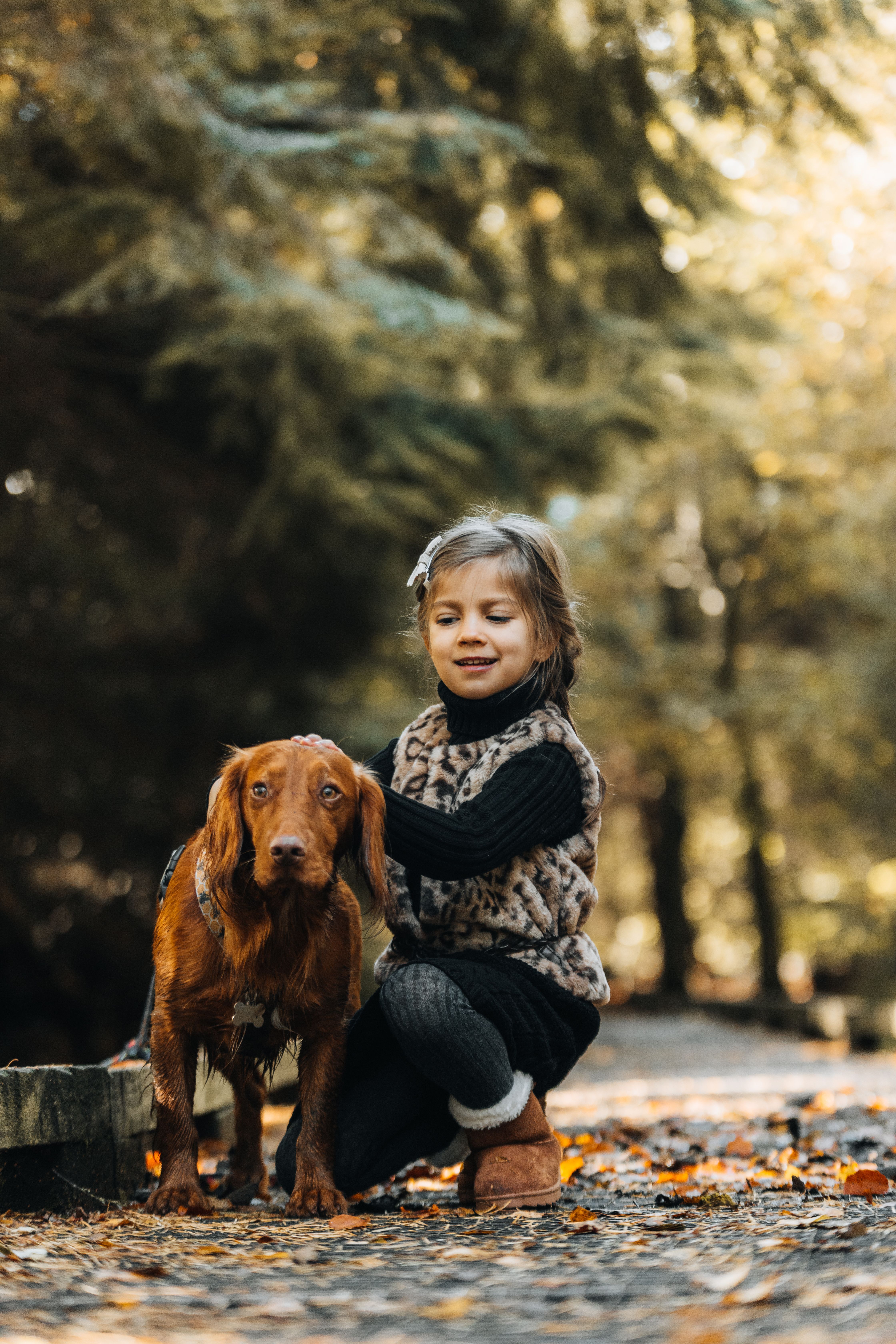 Young girl petting an Irish Setter in a vibrant autumn forest setting.