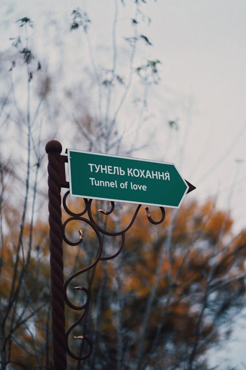 Close-up of a Directional Sign 