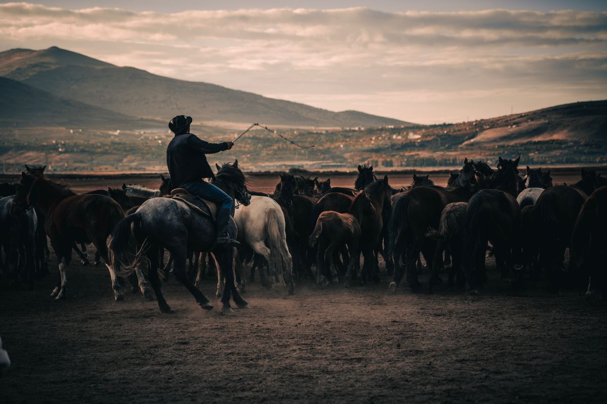 Vaquero en el campo al atardecer