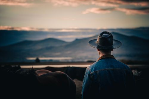 Free Cowboy in denim and hat watches over his herd at sunset, surrounded by tranquil hills. Stock Photo