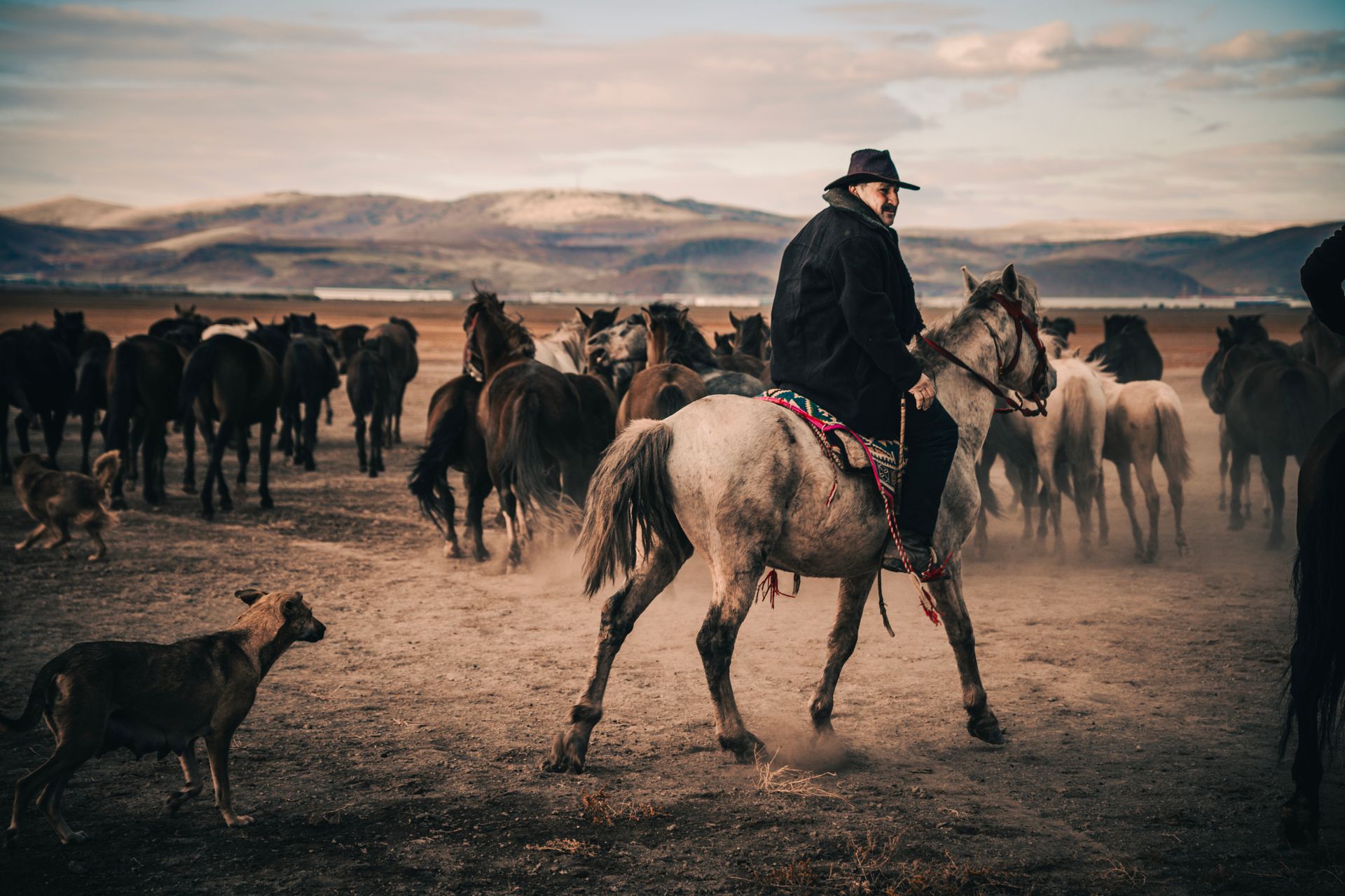 A Man Riding a Horse