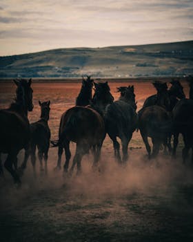 A herd of horses running across a dusty plain at twilight with mountains in the background.