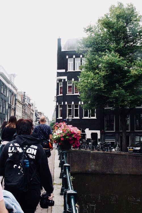 Free stock photo of amsterdam, building, canal