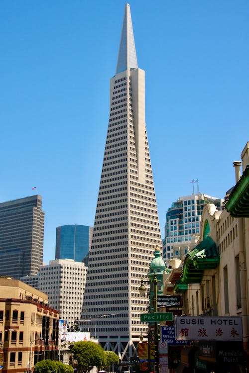 High Rise Buildings Under Blue Sky