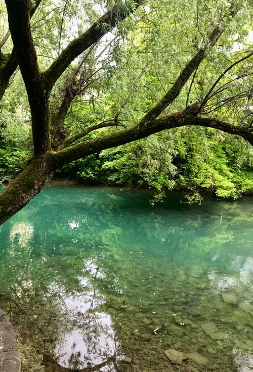 Free A tranquil view of a river surrounded by lush greenery in Annecy, France. Stock Photo