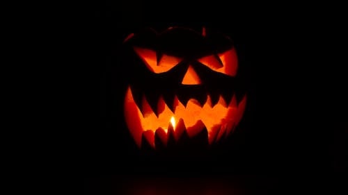 Ilmainen kuvapankkikuva tunnisteilla Halloween, halloween sisustus, kaiverrettu kurpitsa Kuvapankkikuva