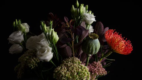 Základová fotografie zdarma na téma aranžování květin, bílé růže, detail