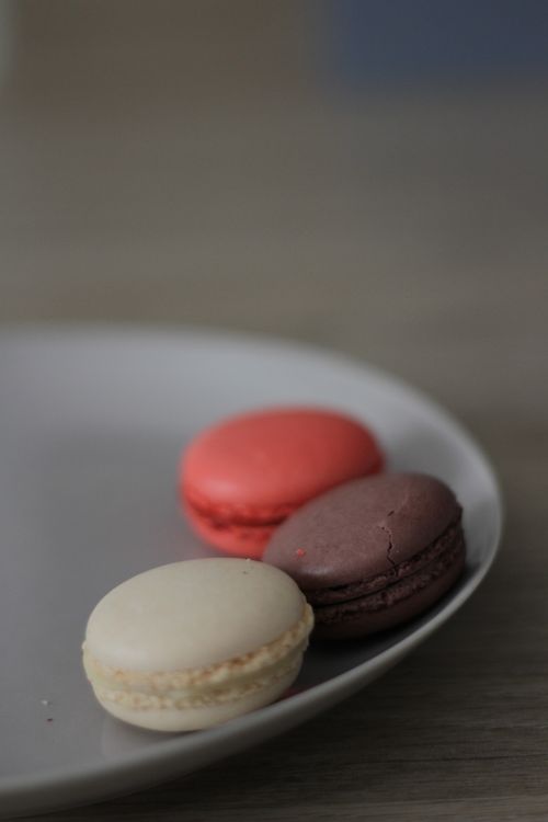 Free Close-up of colorful French macarons on a plate, showcasing dessert elegance. Stock Photo