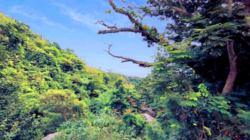 dağ manzarası, panchalingeswar, tepe tepe içeren Ücretsiz stok fotoğraf