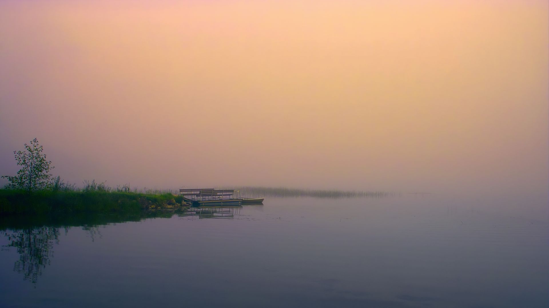 Serene lakeside scene at sunrise, misty water with calm reflections and soft pastel sky.