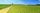 grass field