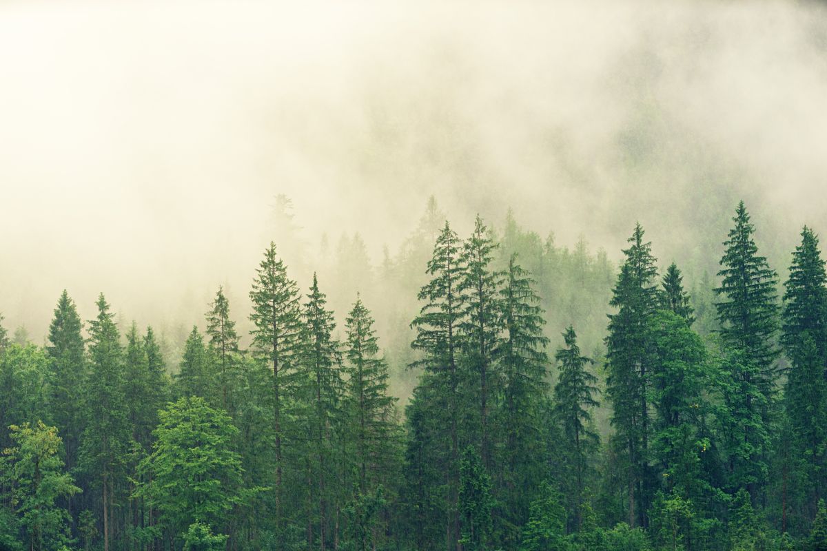 Eco-friendly low carbon travel
