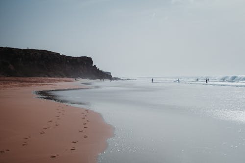 deniz kıyısı, insanlar, kıyı şeridi içeren Ücretsiz stok fotoğraf
