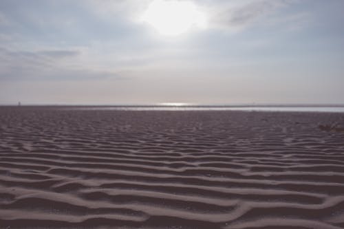 Free stock photo of beach, calm, sand