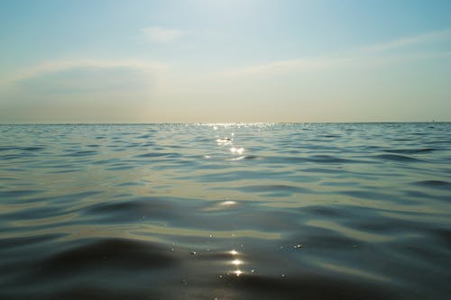 Free stock photo of blue water, calm, ocean