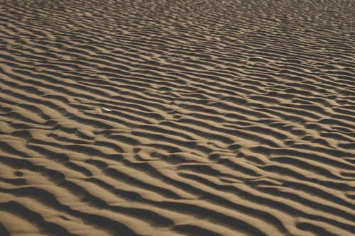 Free stock photo of beach, sand, sand beach