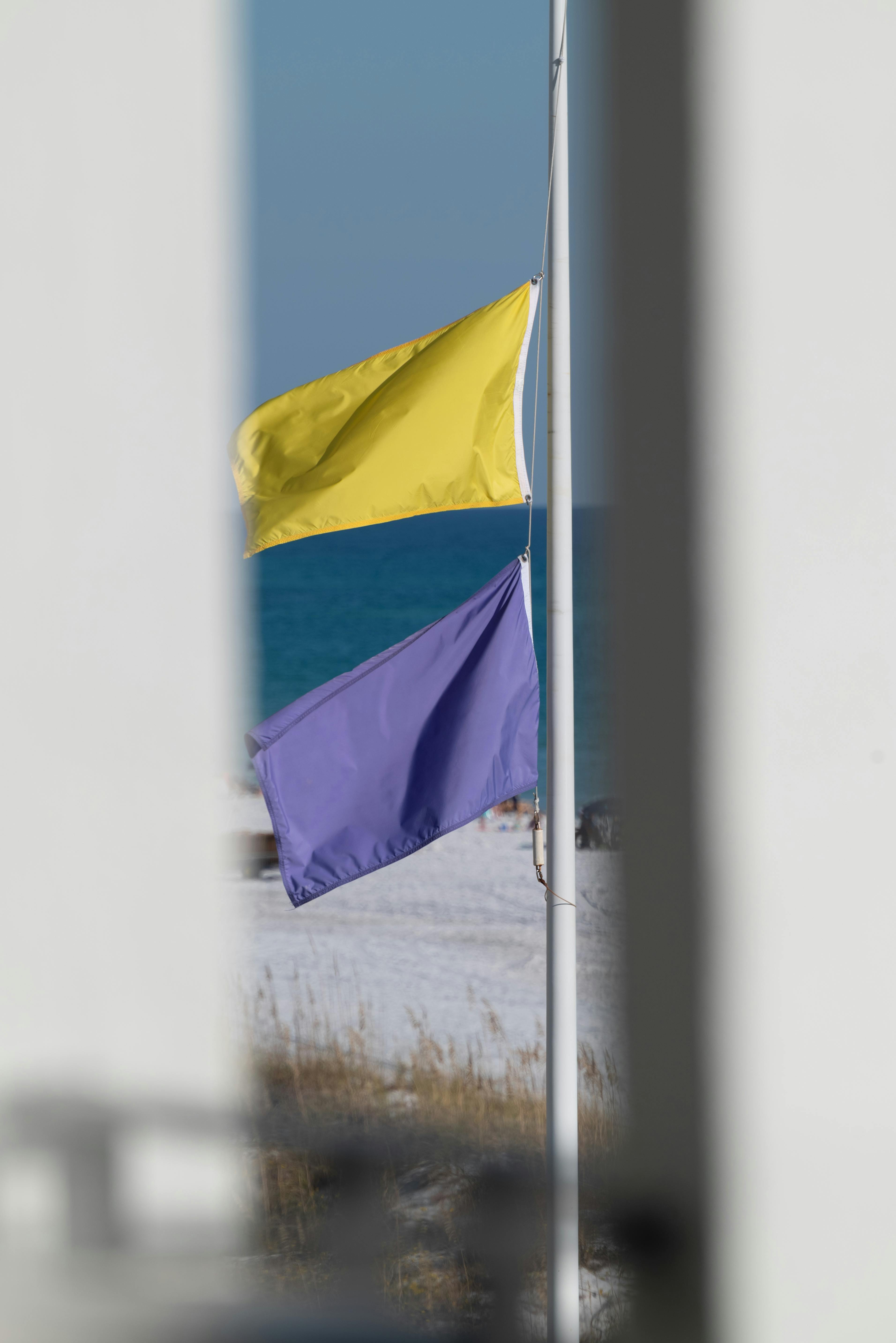 Yellow and Purple Flags waving · Free Stock Photo