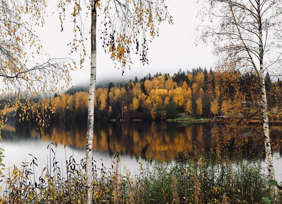 Serene autumn landscape of a lake with colorful forest reflections in Arvika, Sweden.
